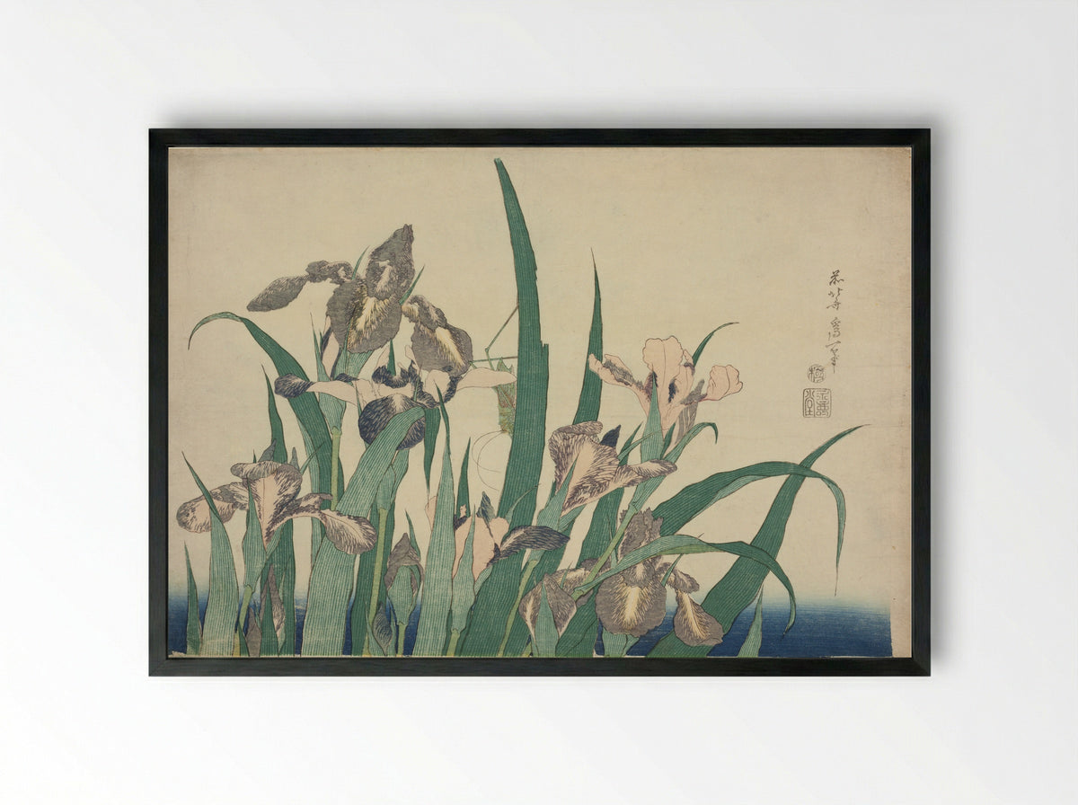 Iris and Grasshopper - Katsushika Hokusai - Framed Print Black