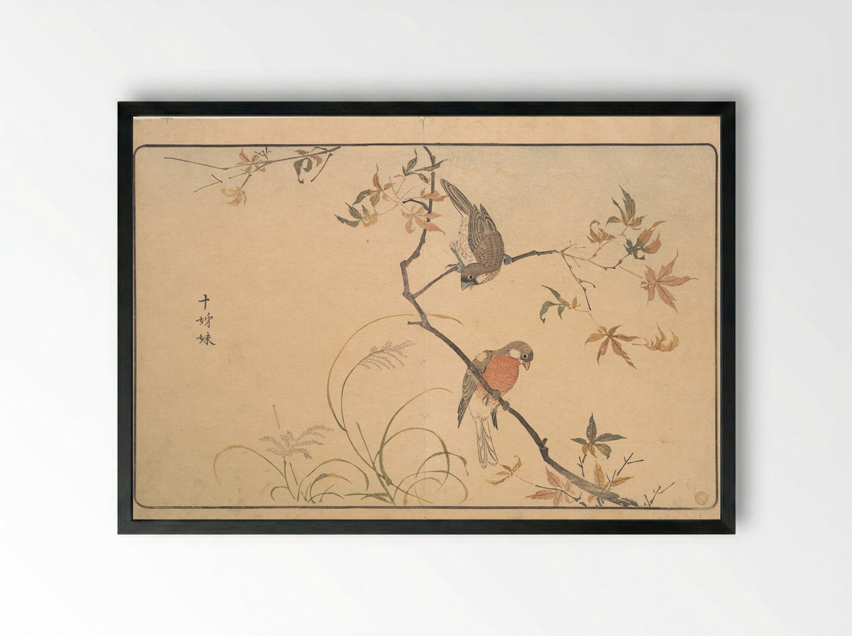 Jūshimatsu (Society Finches) - Kuwagata Keisai - Framed Print Black