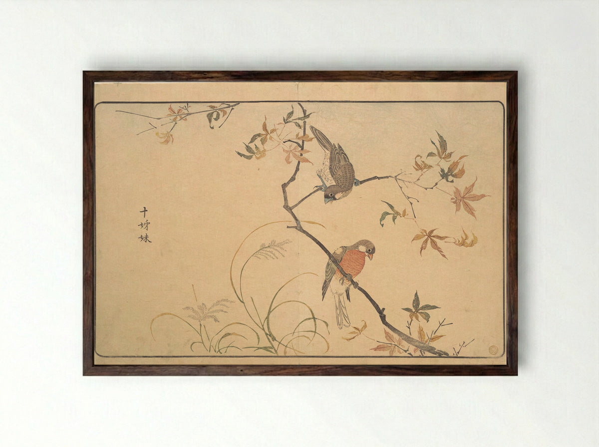 Jūshimatsu (Society Finches) - Kuwagata Keisai - Framed Print Dark Wood