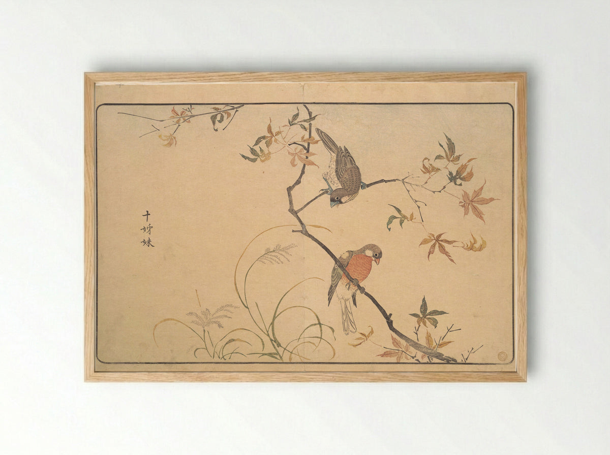 Jūshimatsu (Society Finches) - Kuwagata Keisai - Framed Print Wood