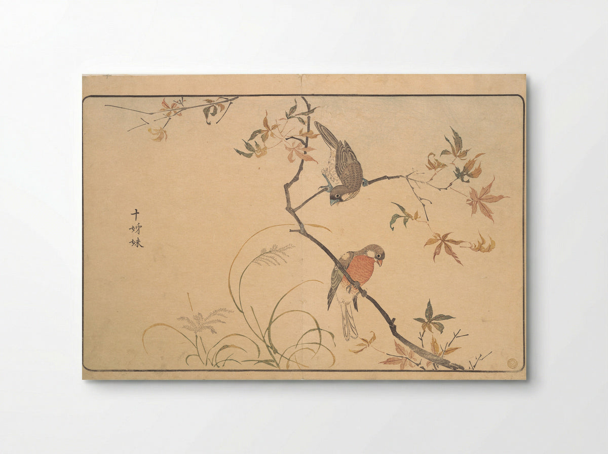 Jūshimatsu (Society Finches) - Kuwagata Keisai - Poster