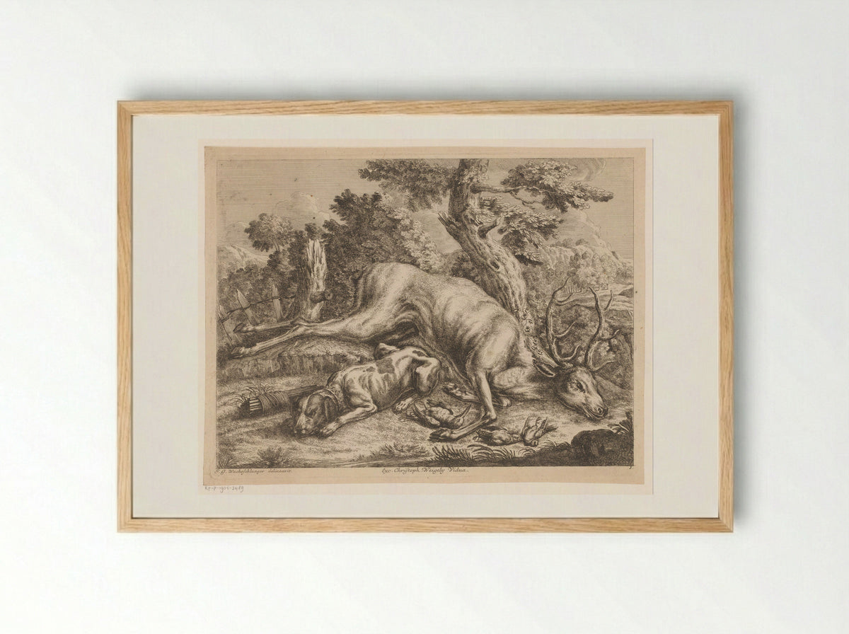 Jachthond en jachtbuit met hert en vogels - Johann Georg Wachsschlunger - Framed Print Wood
