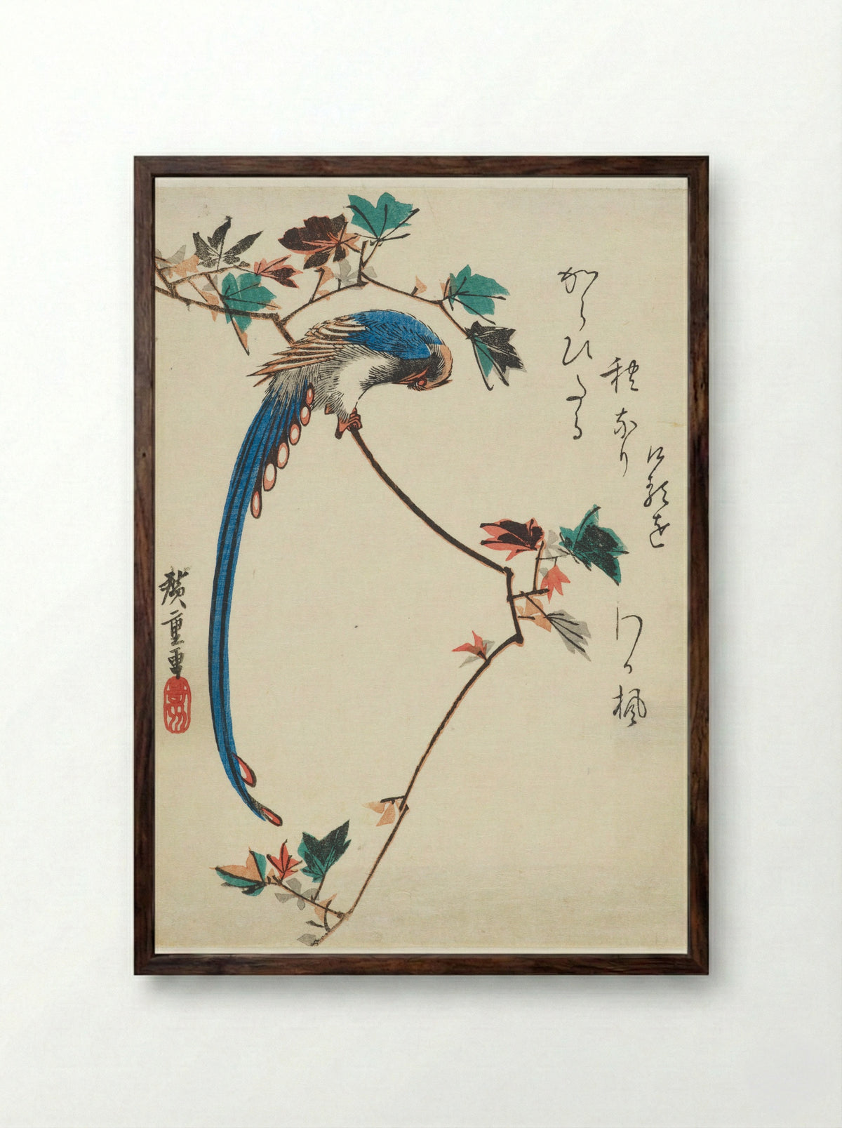 Japanese Paradise Flycatcher on a Maple Branch - Utagawa Hiroshige - Framed Print Dark Wood