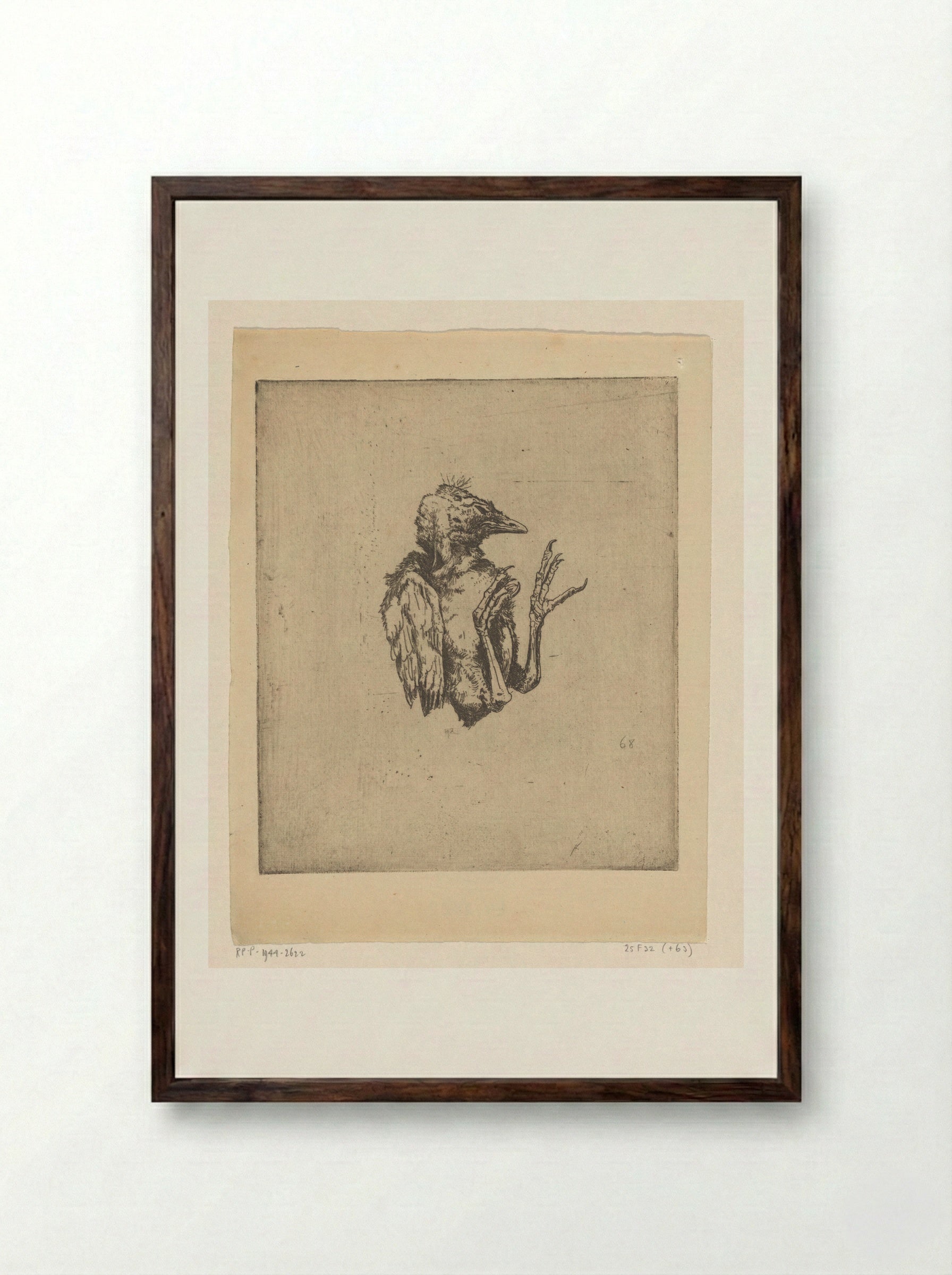 Jonge dode vogel - Philip Zilcken - Framed Print Dark Wood