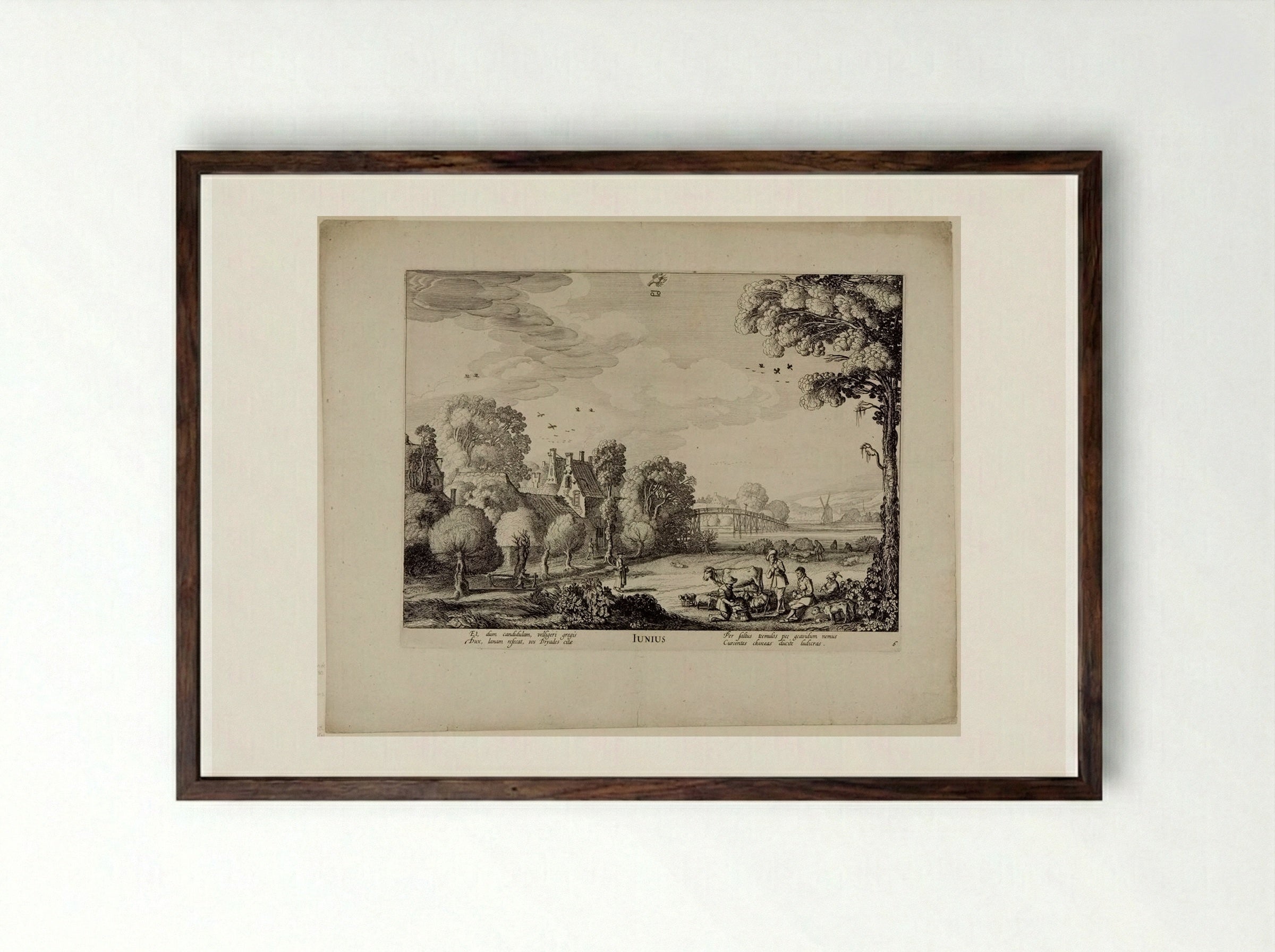 June - Jan van de Velde II - Framed Print Dark Wood