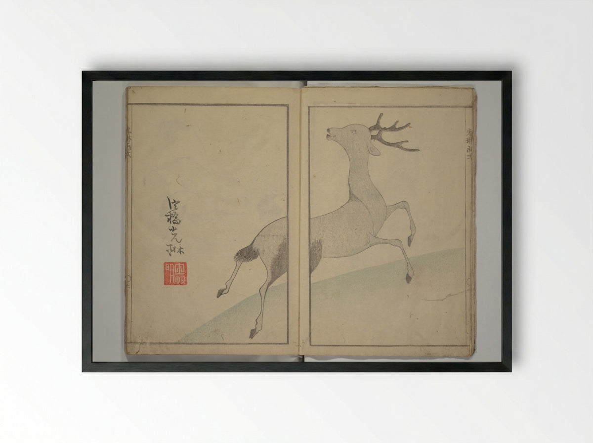 Kōrin's Painting Style (Kōrin gashiki) - Aikawa Minwa - Framed Print Black
