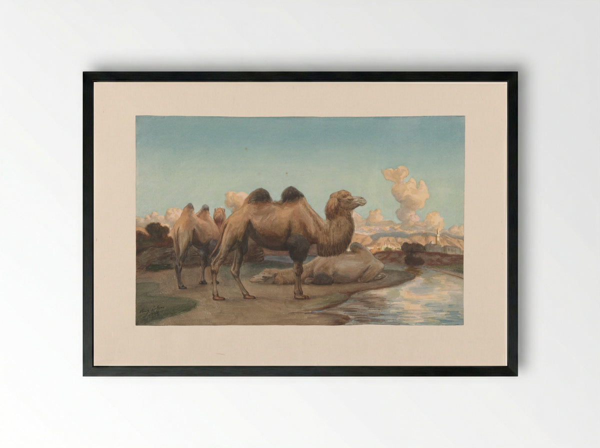 Kamelen in een landschap - August Le Gras - Framed Print Black