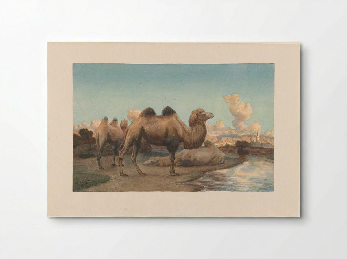 Kamelen in een landschap - August Le Gras - Poster