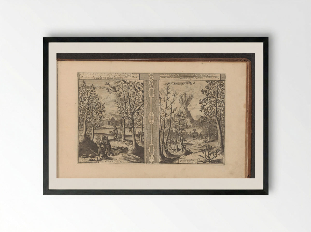 Kaneel, nootmuskaat, kruidnagel en bamboe - Romeyn de Hooghe - Framed Print Black