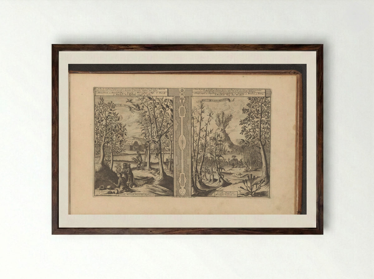 Kaneel, nootmuskaat, kruidnagel en bamboe - Romeyn de Hooghe - Framed Print Dark Wood