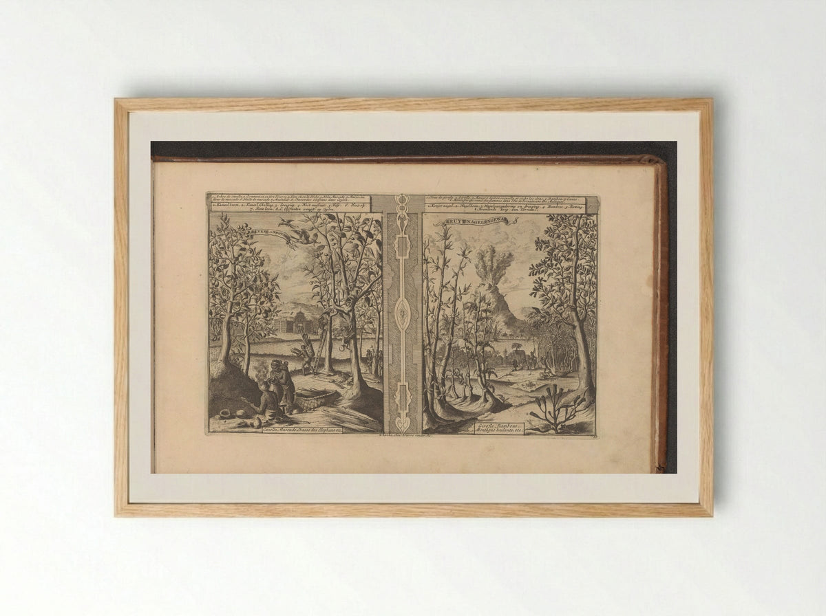 Kaneel, nootmuskaat, kruidnagel en bamboe - Romeyn de Hooghe - Framed Print Wood