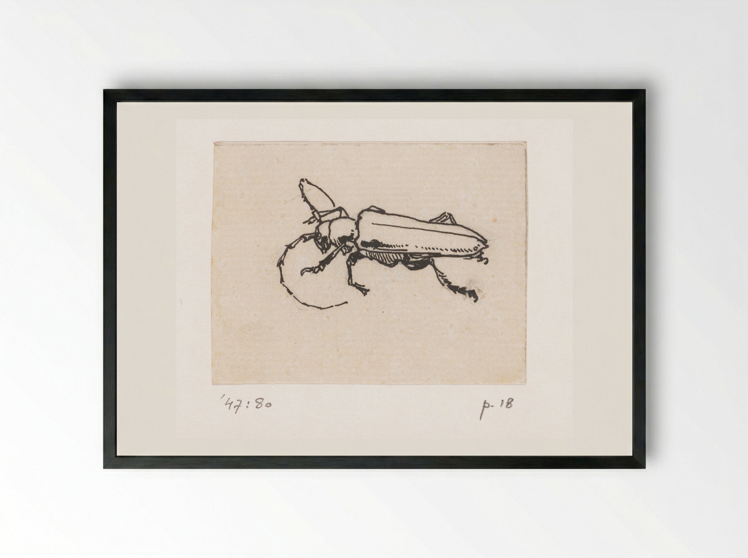 Kever (Beetle) - Willem Wenckebach - Framed Print Black