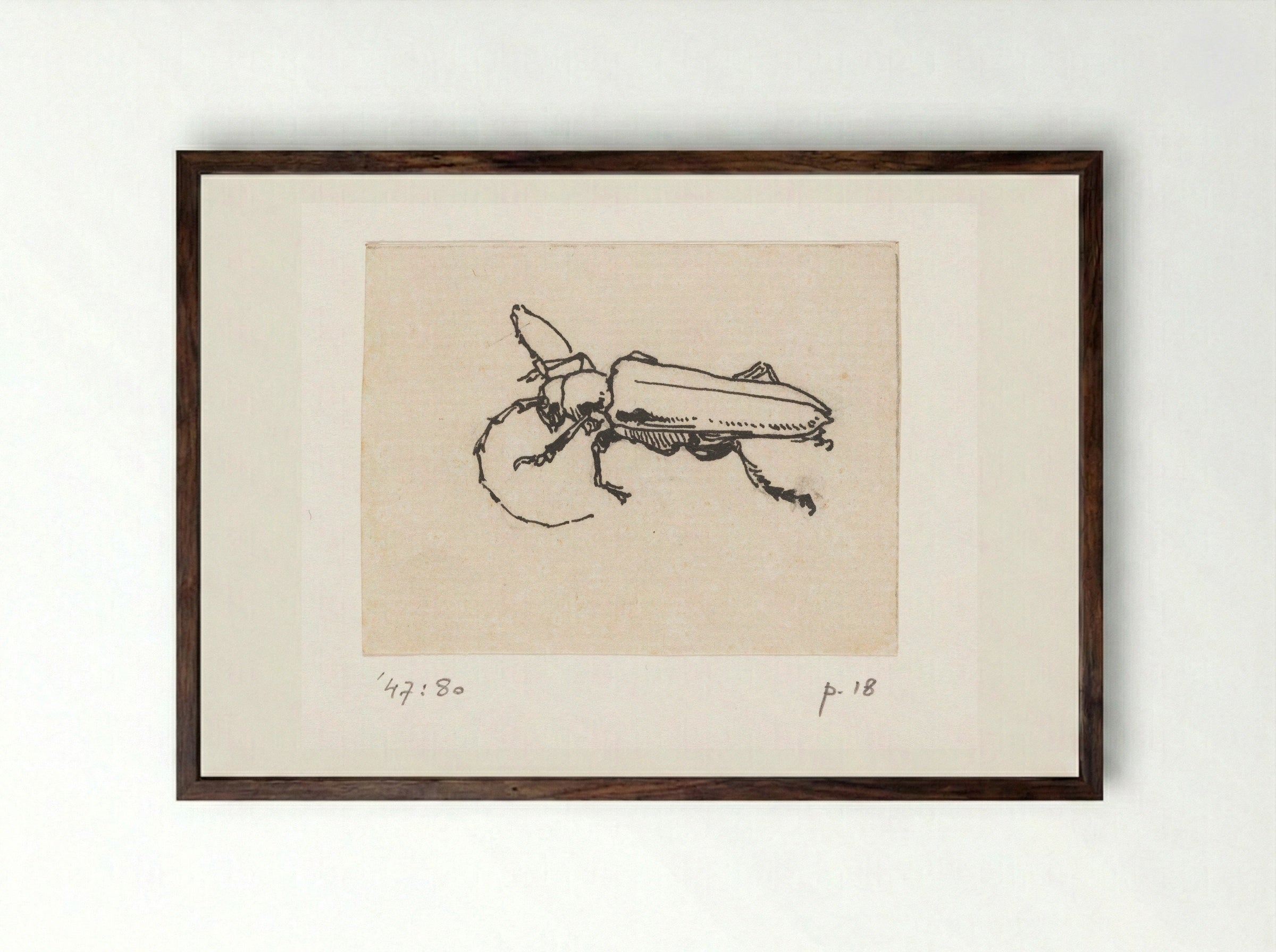 Kever (Beetle) - Willem Wenckebach - Framed Print Dark Wood