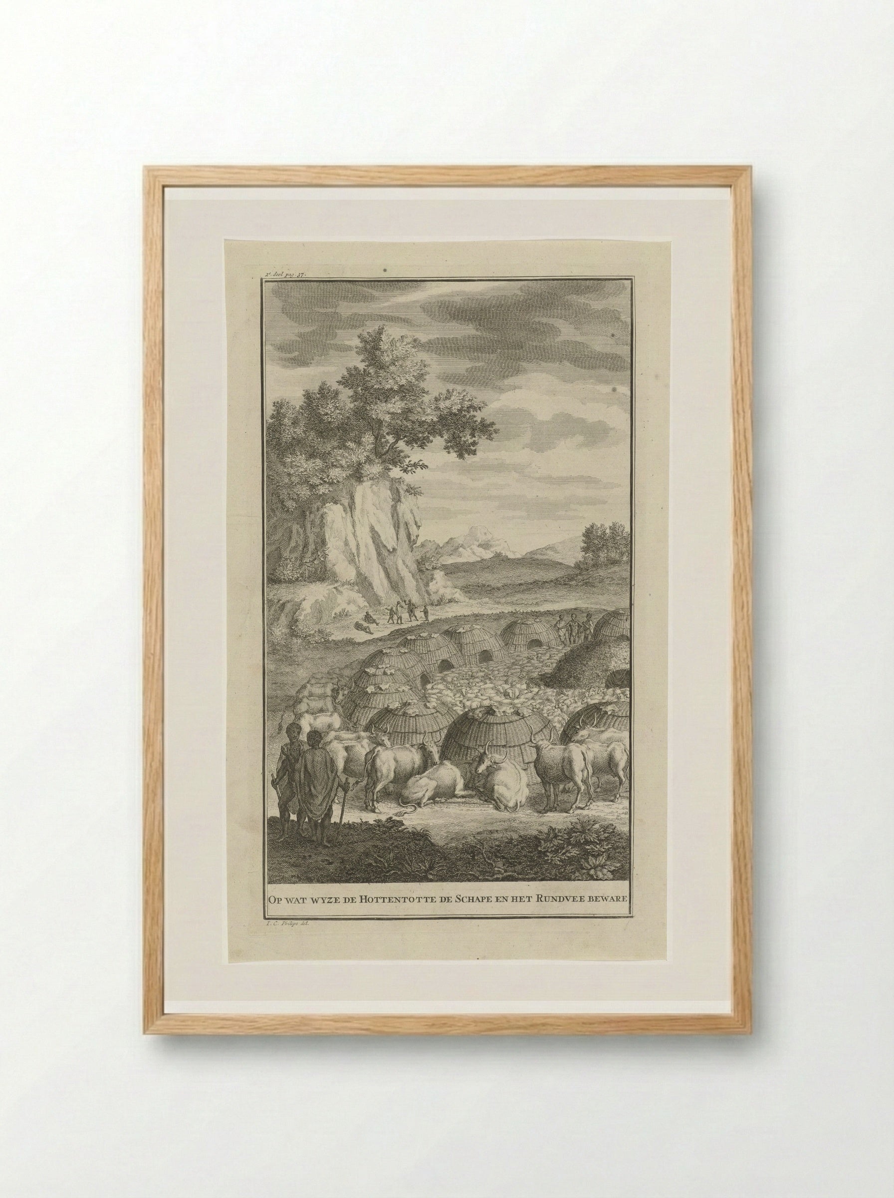Khoikhoi bij een kraal met hun vee - Jan Caspar Philips - Framed Print Wood
