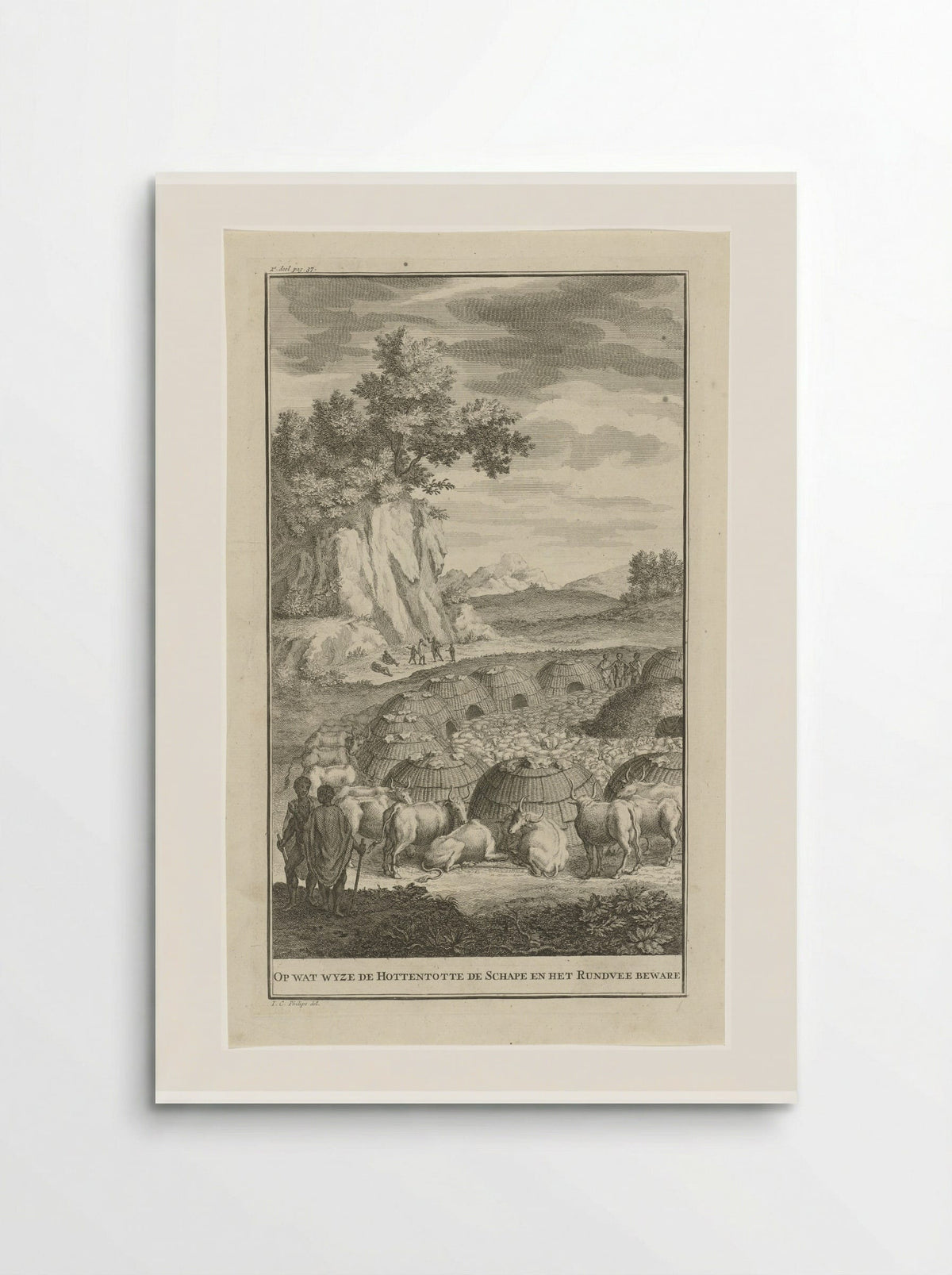 Khoikhoi bij een kraal met hun vee - Jan Caspar Philips - Poster