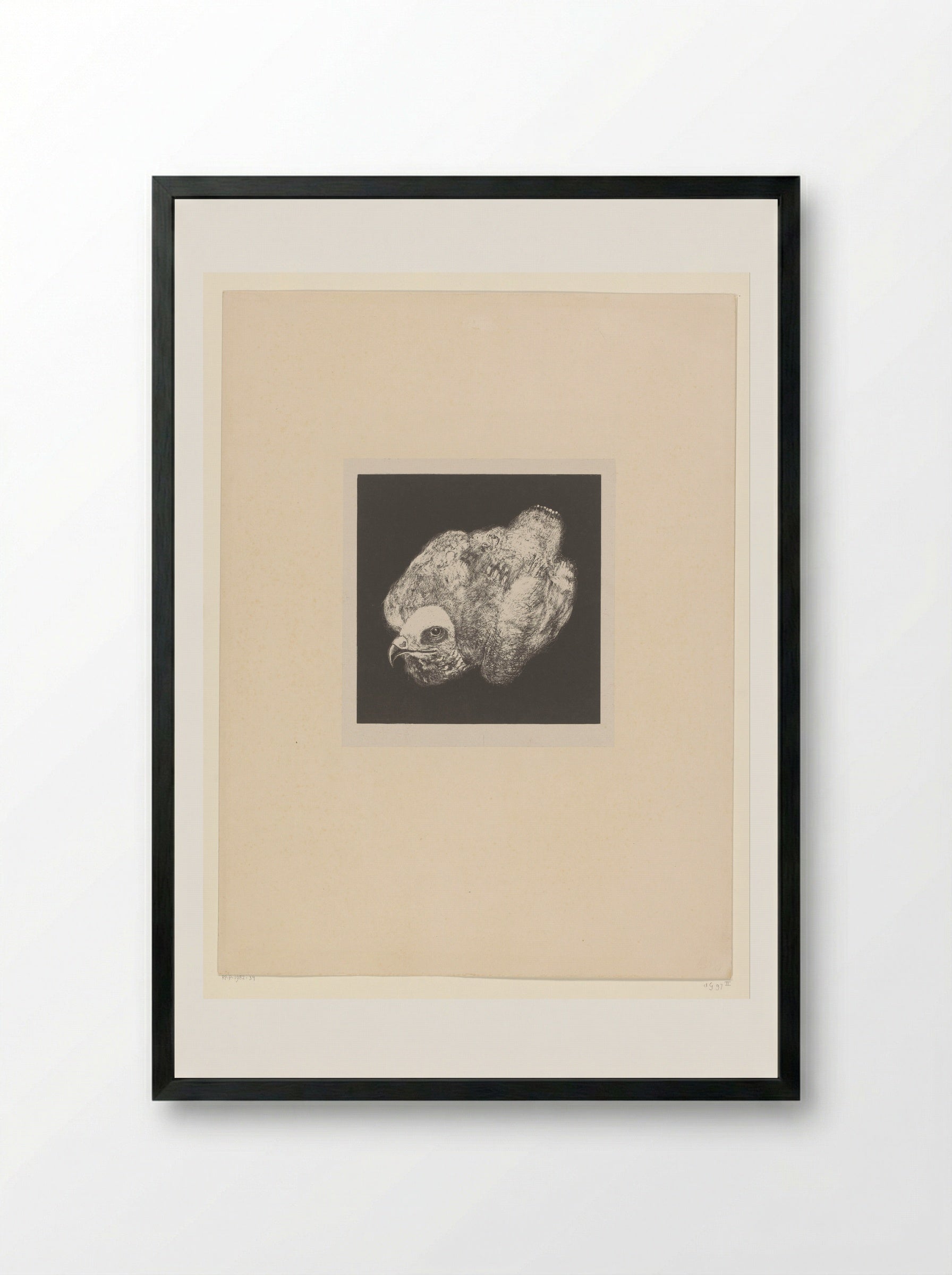 Kiekendief (Marsh Harrier) - Theo van Hoytema - Framed Print Black