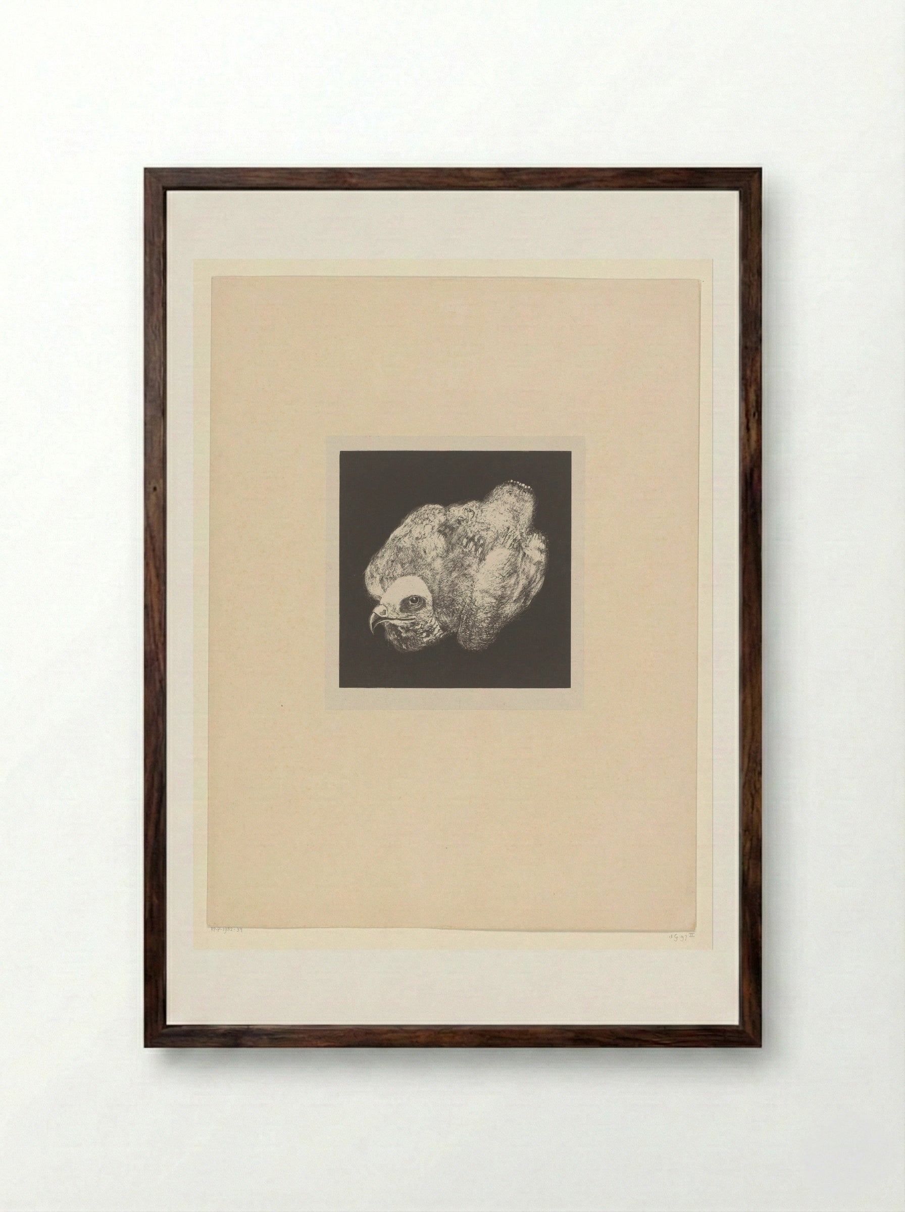 Kiekendief (Marsh Harrier) - Theo van Hoytema - Framed Print Dark Wood
