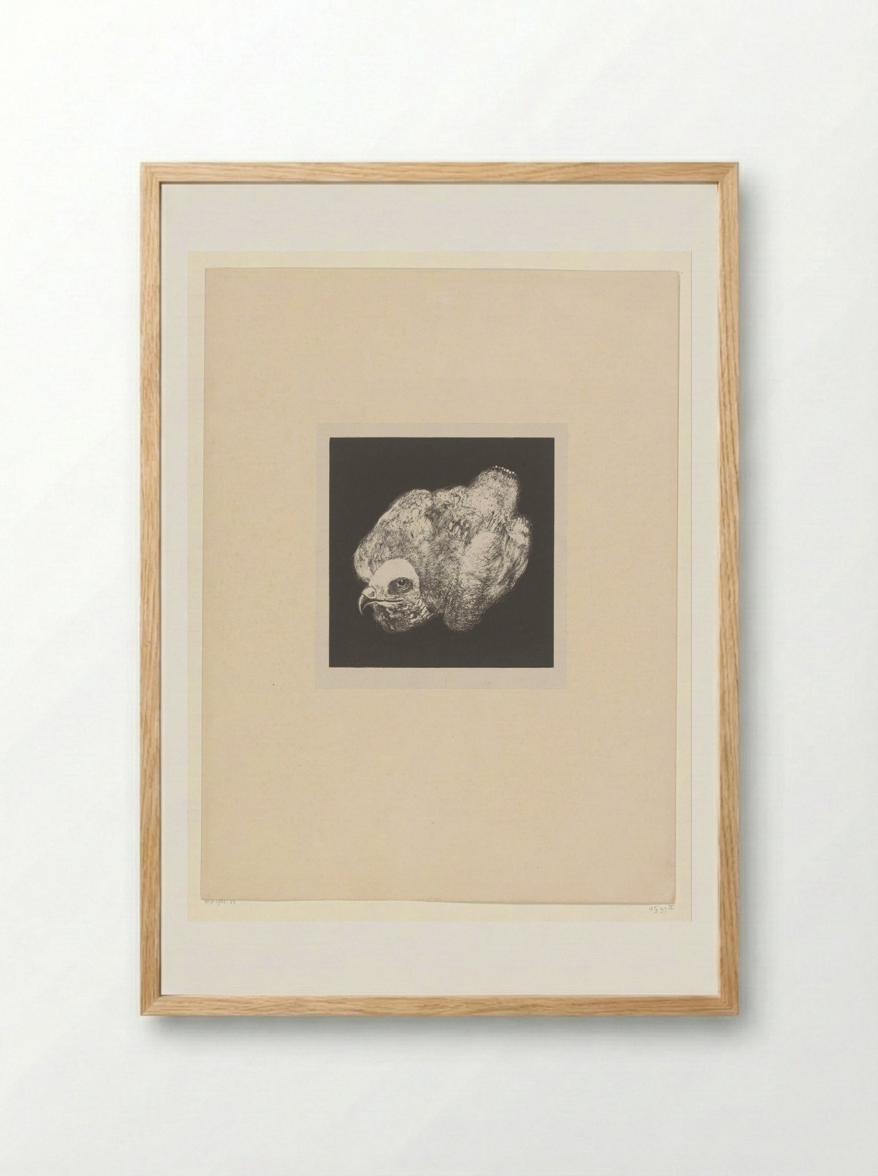 Kiekendief (Marsh Harrier) - Theo van Hoytema - Framed Print Wood