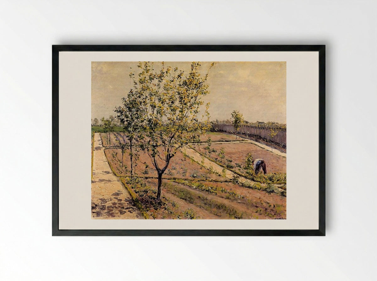 Kitchen Garden, Petit Gennevilliers - Gustave Caillebotte - Framed Print Black