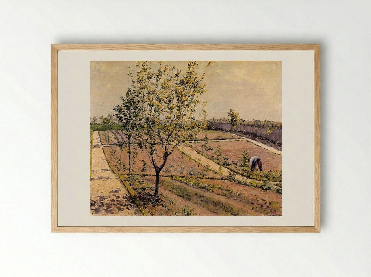 Kitchen Garden, Petit Gennevilliers - Gustave Caillebotte - Framed Print Wood