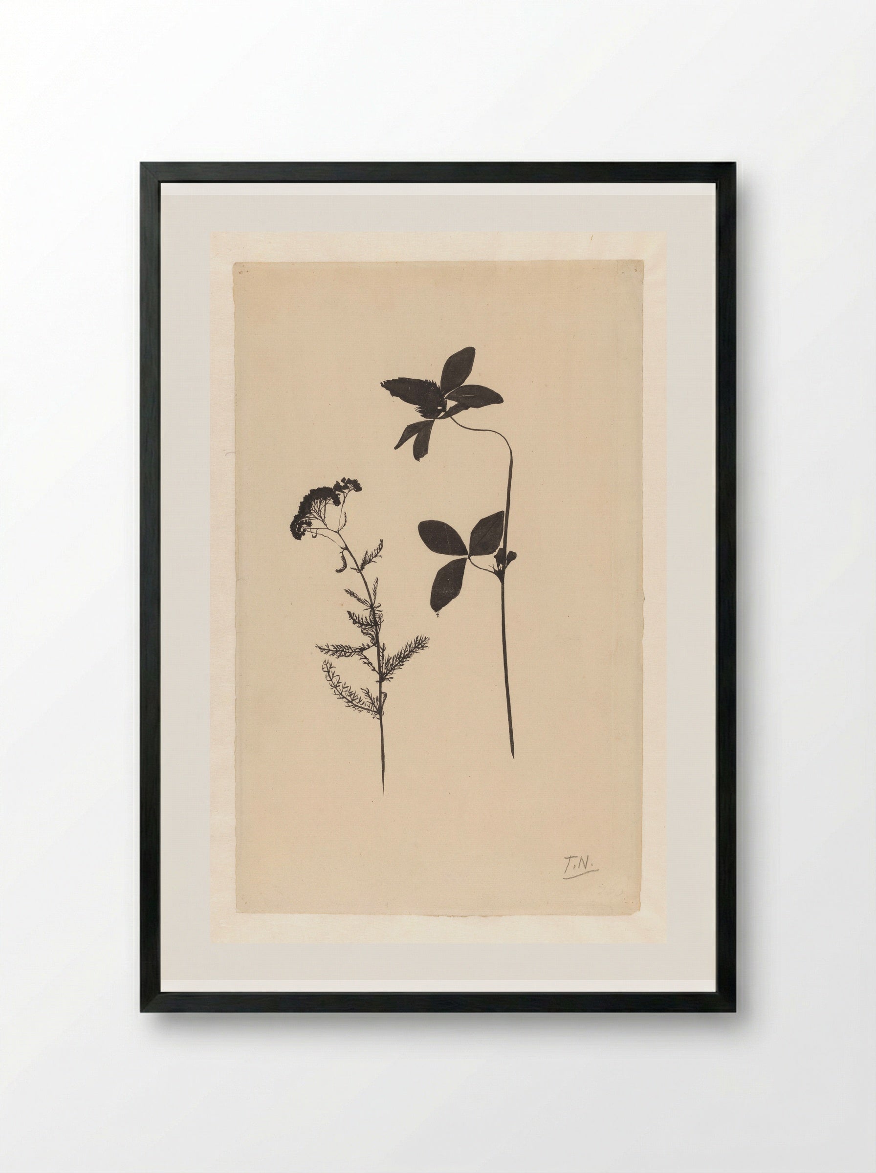 Klaver en een andere plant - Theo Nieuwenhuis - Framed Print Black