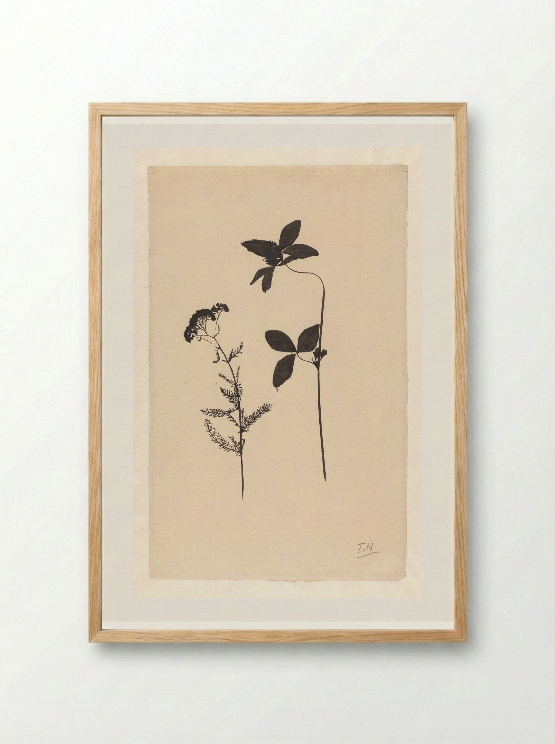 Klaver en een andere plant - Theo Nieuwenhuis - Framed Print Wood