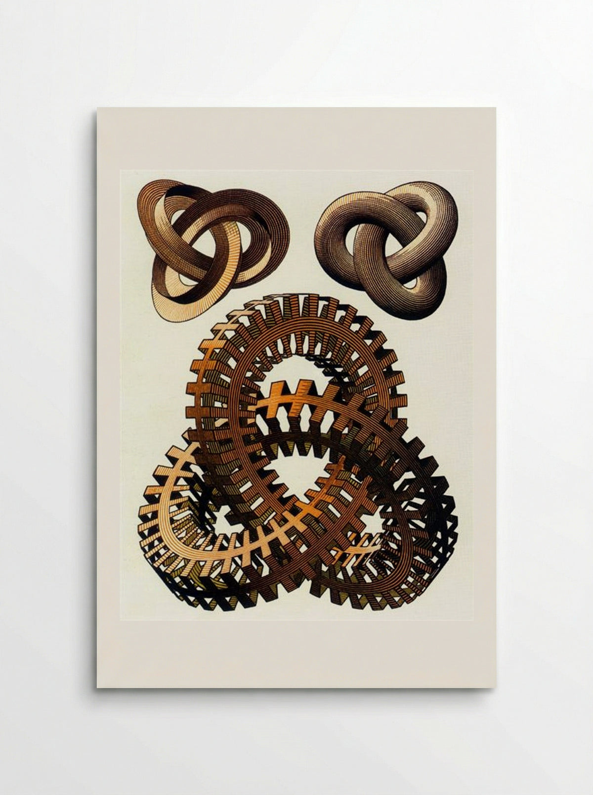 Knots - M.C. Escher - Poster