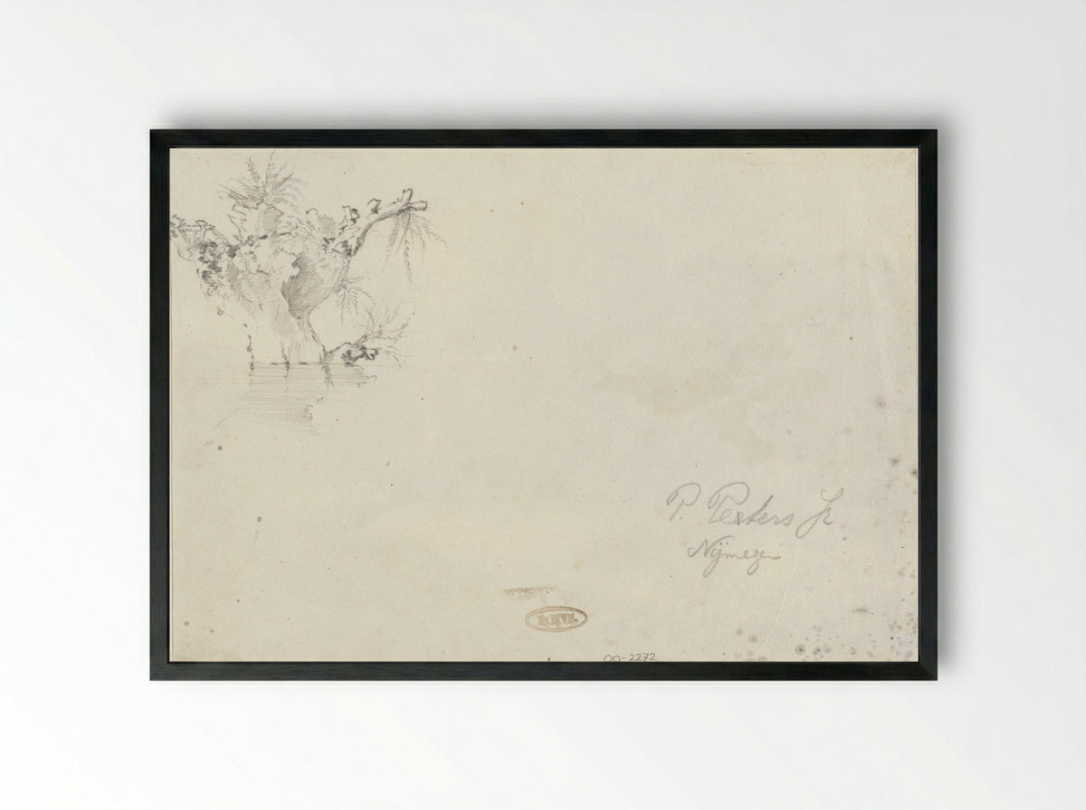 Knotwilg (Study of a Pollarded Willow) - Pieter Francis Peters jr. - Framed Print Black