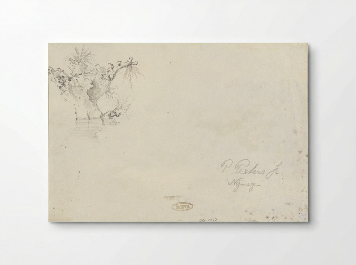 Knotwilg (Study of a Pollarded Willow) - Pieter Francis Peters jr. - Poster