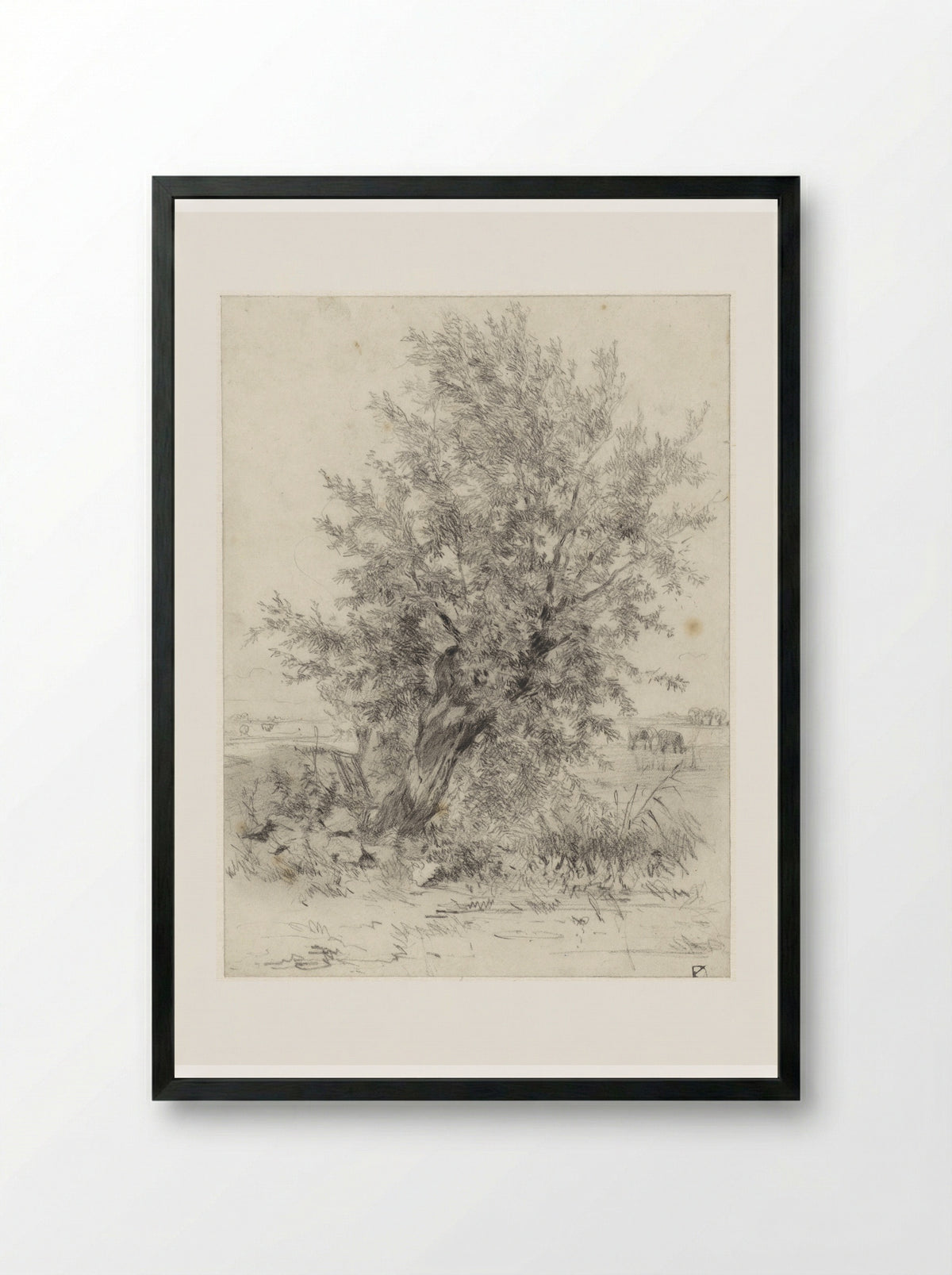 Knotwilg in een landschap - Johan Daniël Koelman - Framed Print Black