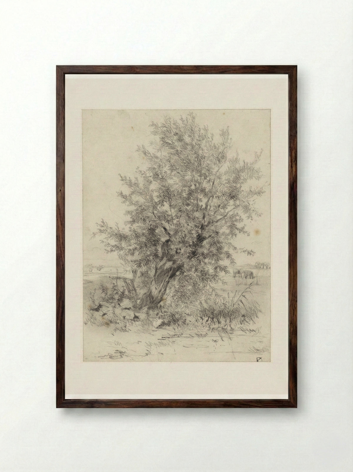 Knotwilg in een landschap - Johan Daniël Koelman - Framed Print Dark Wood