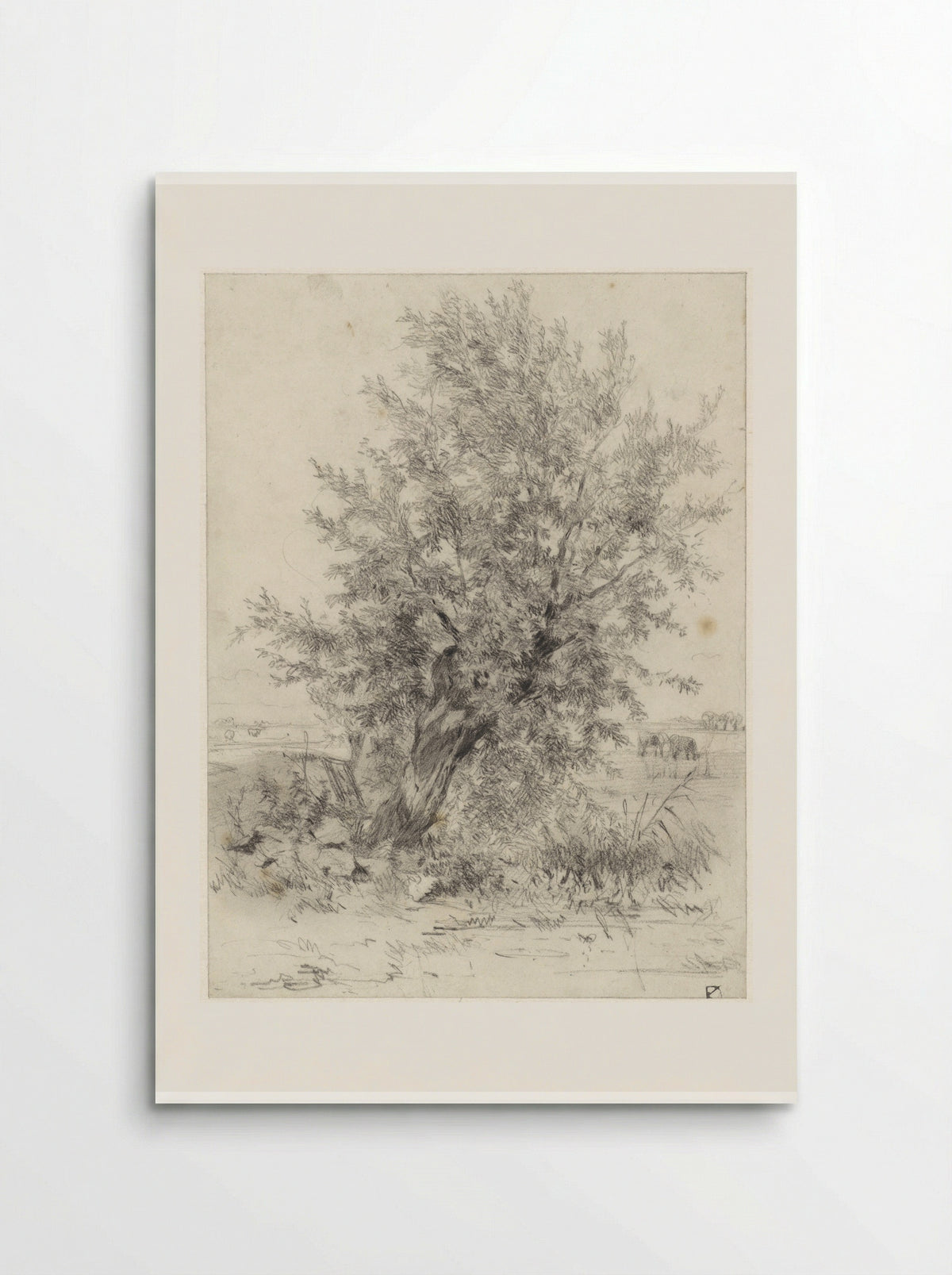 Knotwilg in een landschap - Johan Daniël Koelman - Poster