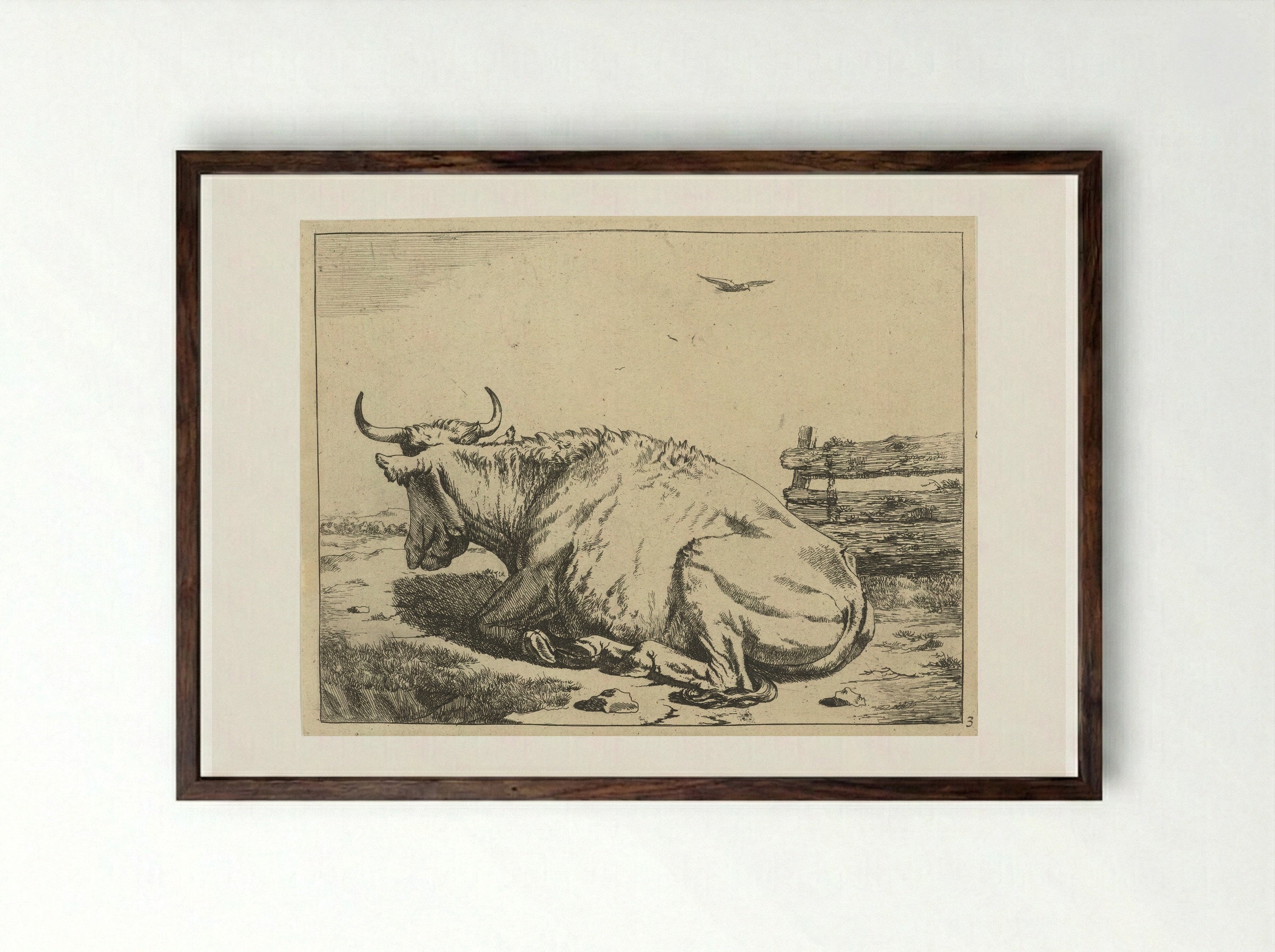 Koe liggend bij hek - Marcus de Bye - Framed Print Dark Wood