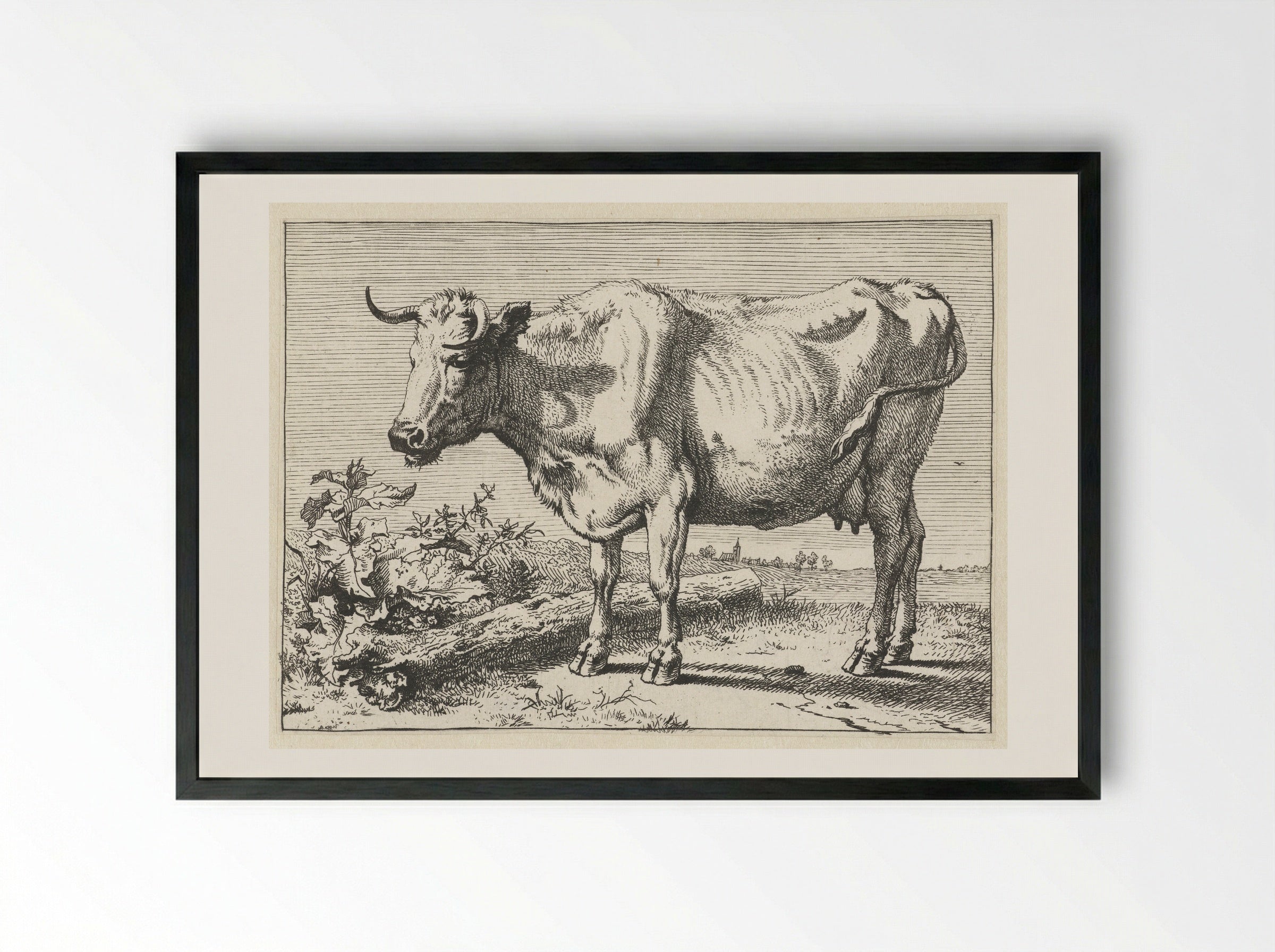 Koe met gedraaide hoorn (Cow with Twisted Horn) - Paulus Potter - Framed Print Black