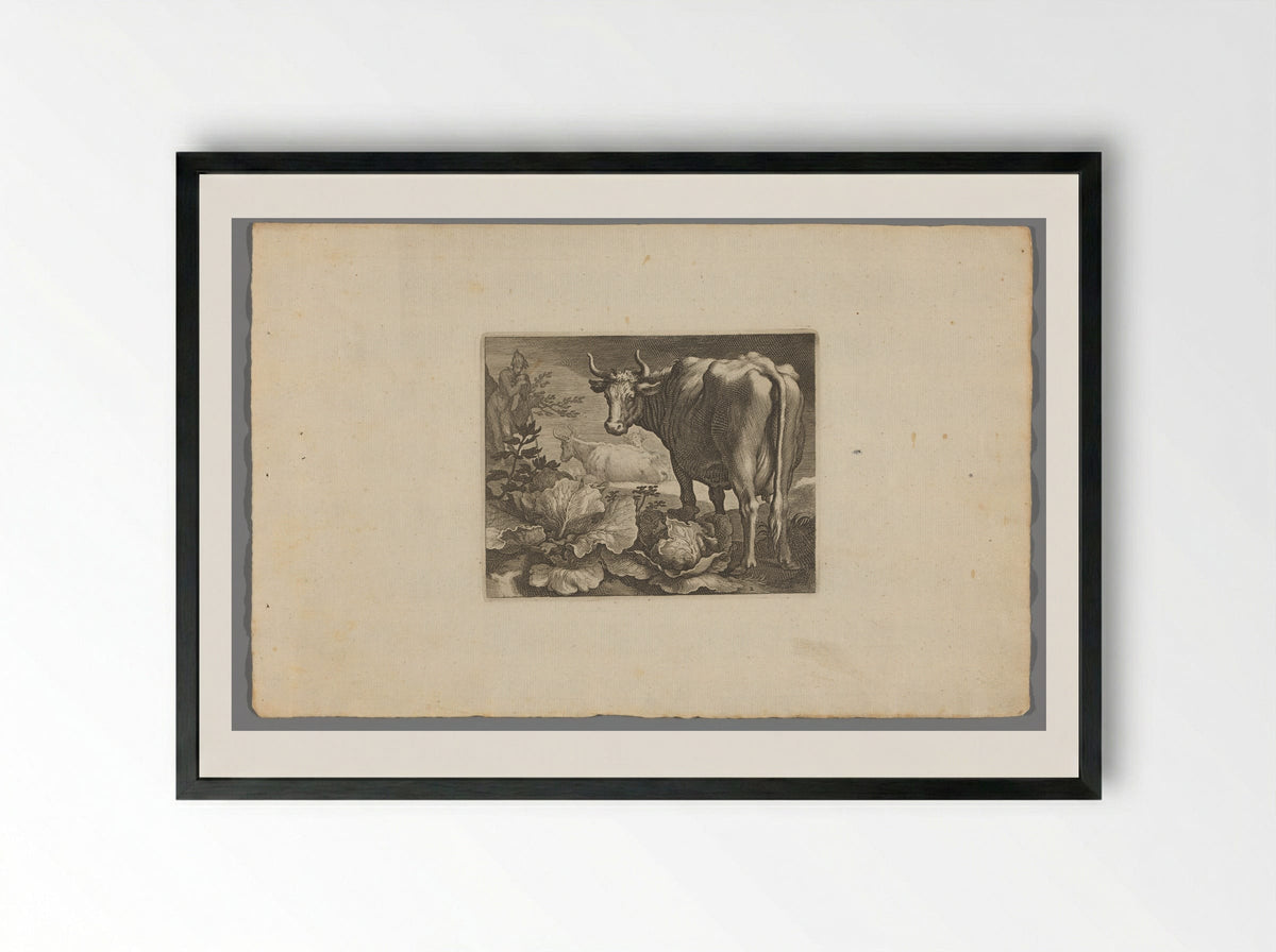 Koeien - Boëtius Adamsz. Bolswert - Framed Print Black