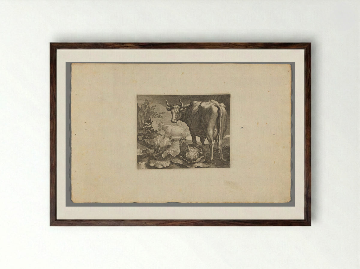 Koeien - Boëtius Adamsz. Bolswert - Framed Print Dark Wood