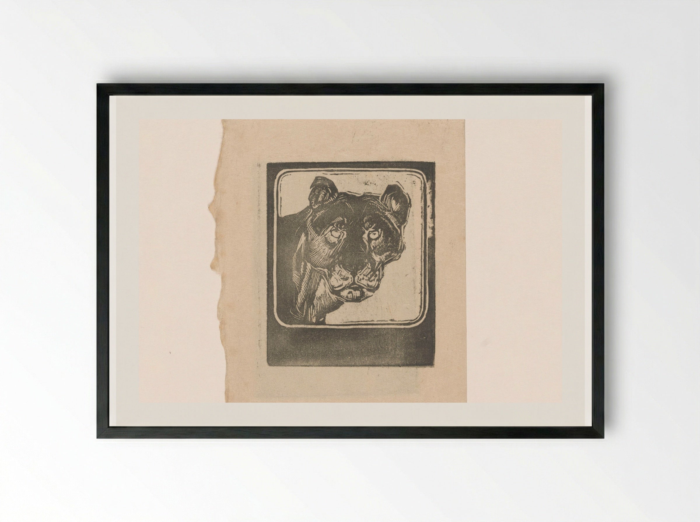 Kop van een leeuwin (Head of a Lioness) - Bernard Willem Wierink - Framed Print Black