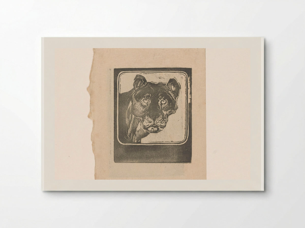 Kop van een leeuwin (Head of a Lioness) - Bernard Willem Wierink - Poster