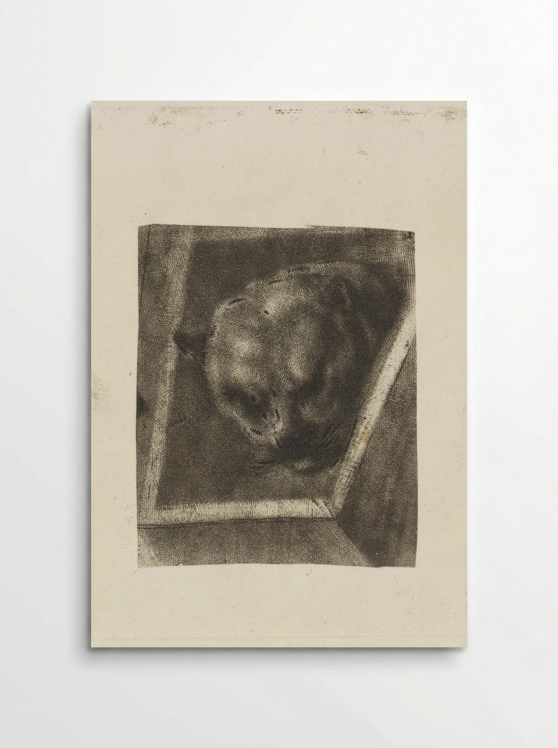 Kop van een panter - Dirk van der Toorn - Poster