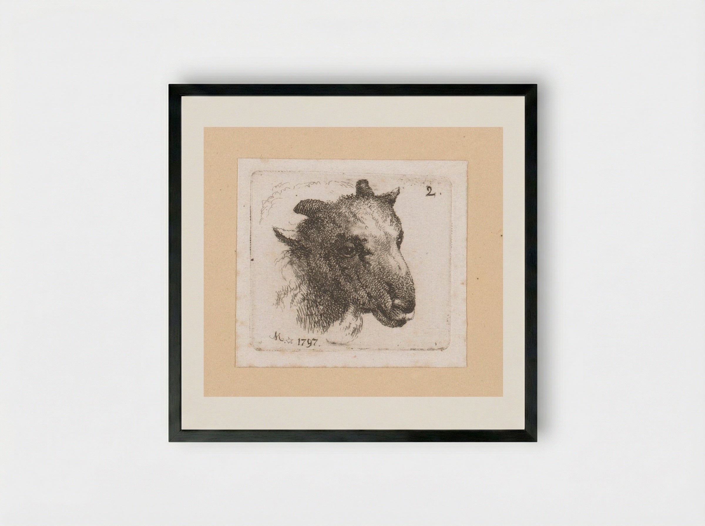 Kop van een schaap (Head of a Sheep) - Johann Friedrich Morgenstern - Framed Print Black