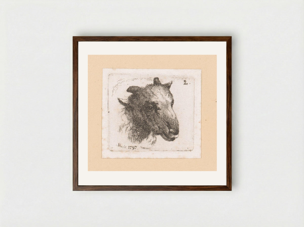 Kop van een schaap (Head of a Sheep) - Johann Friedrich Morgenstern - Framed Print Dark Wood