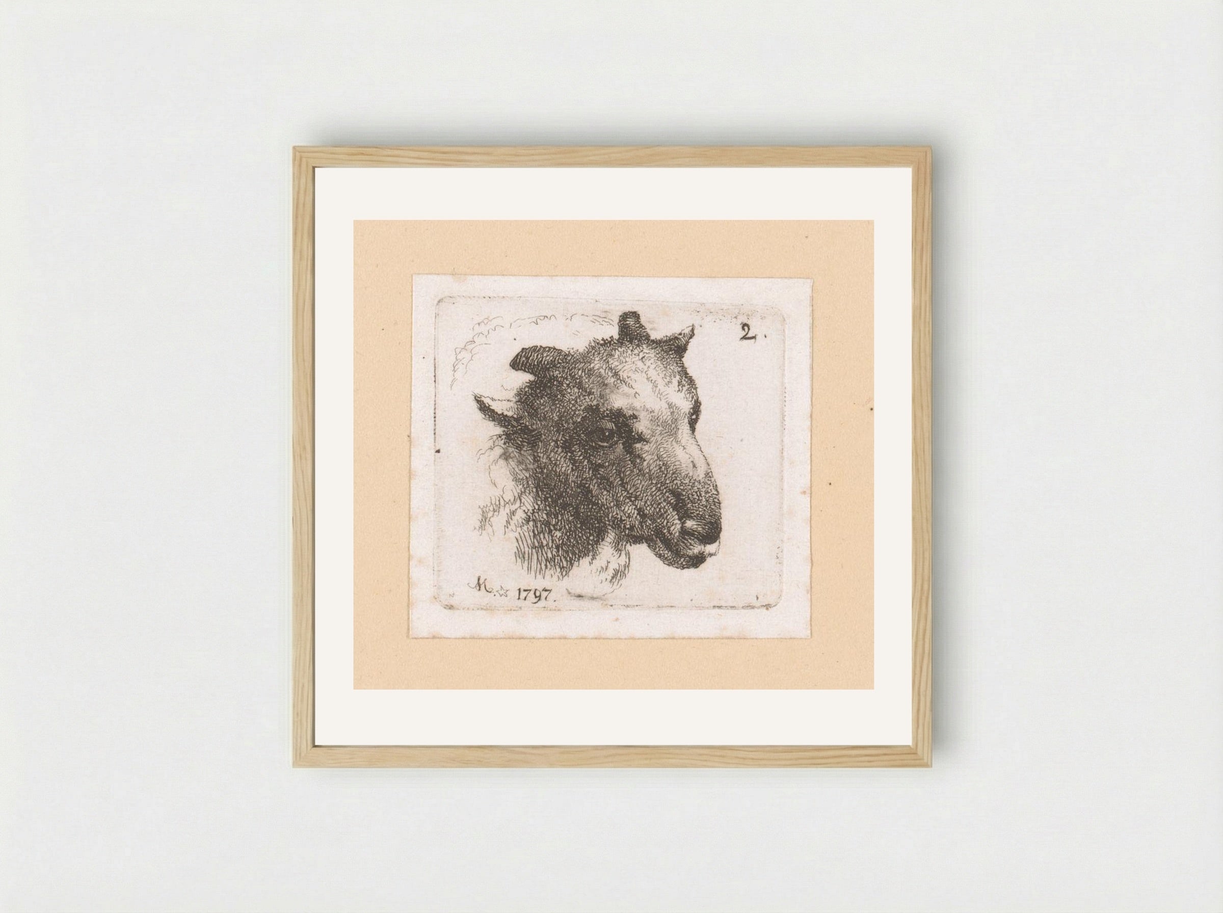 Kop van een schaap (Head of a Sheep) - Johann Friedrich Morgenstern - Framed Print Wood