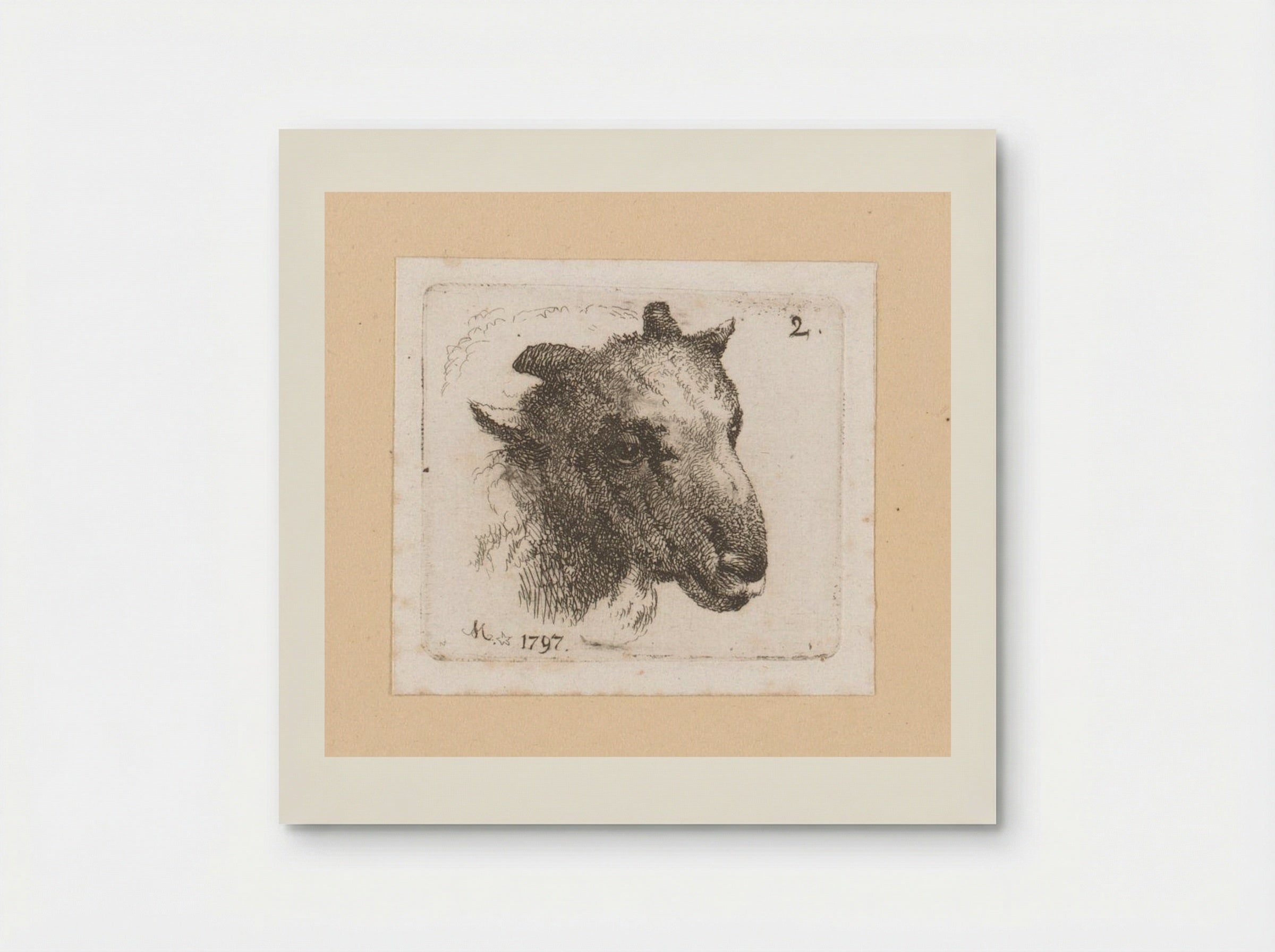 Kop van een schaap (Head of a Sheep) - Johann Friedrich Morgenstern - Poster