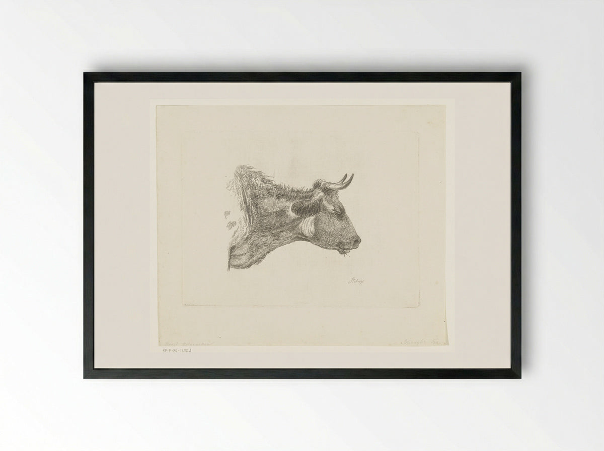 Kop van koe met grasspriet in bek - Frederik Christiaan Bierweiler - Framed Print Black