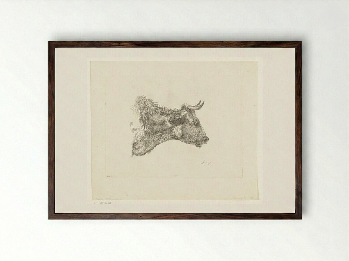 Kop van koe met grasspriet in bek - Frederik Christiaan Bierweiler - Framed Print Dark Wood