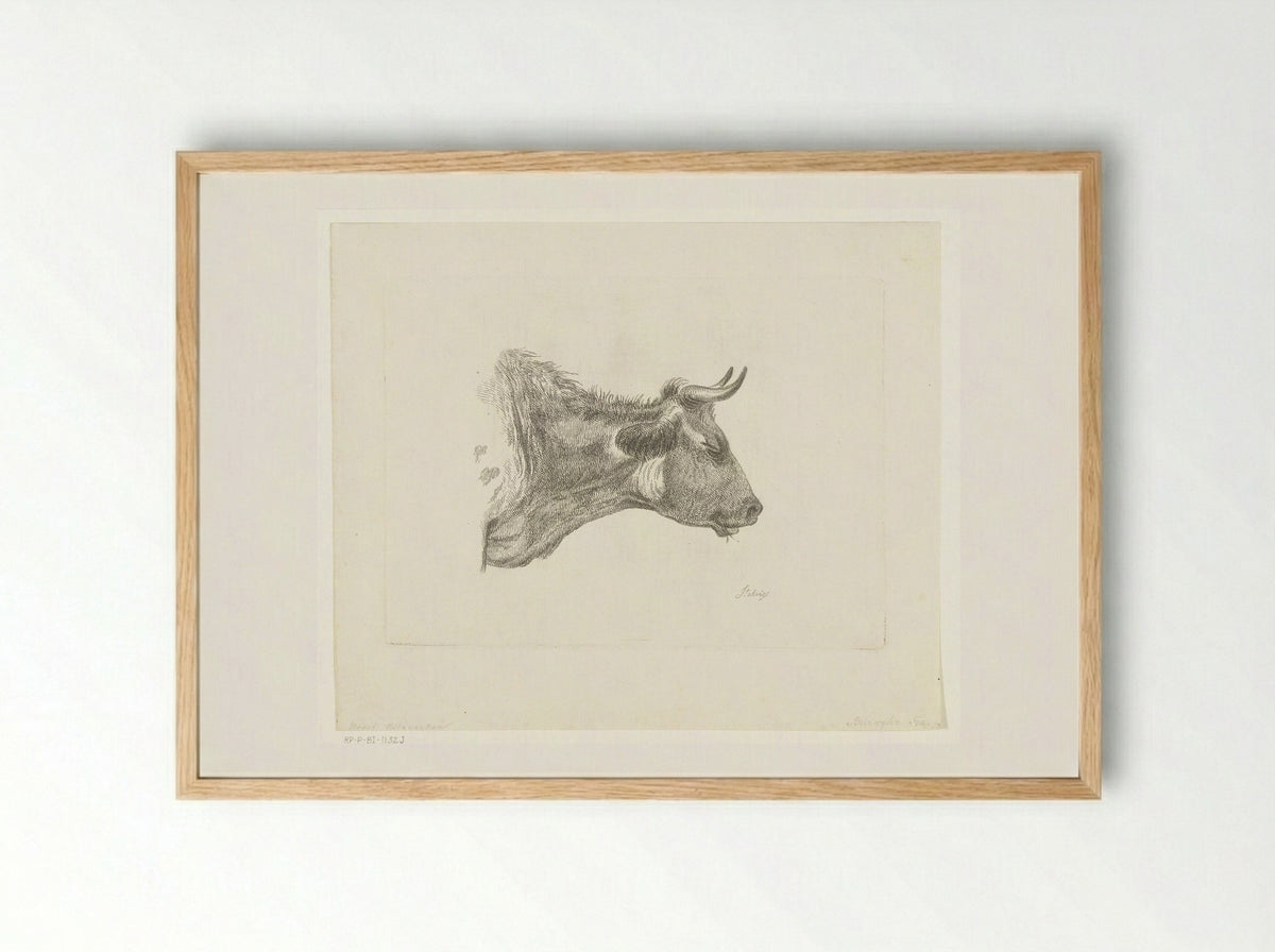 Kop van koe met grasspriet in bek - Frederik Christiaan Bierweiler - Framed Print Wood