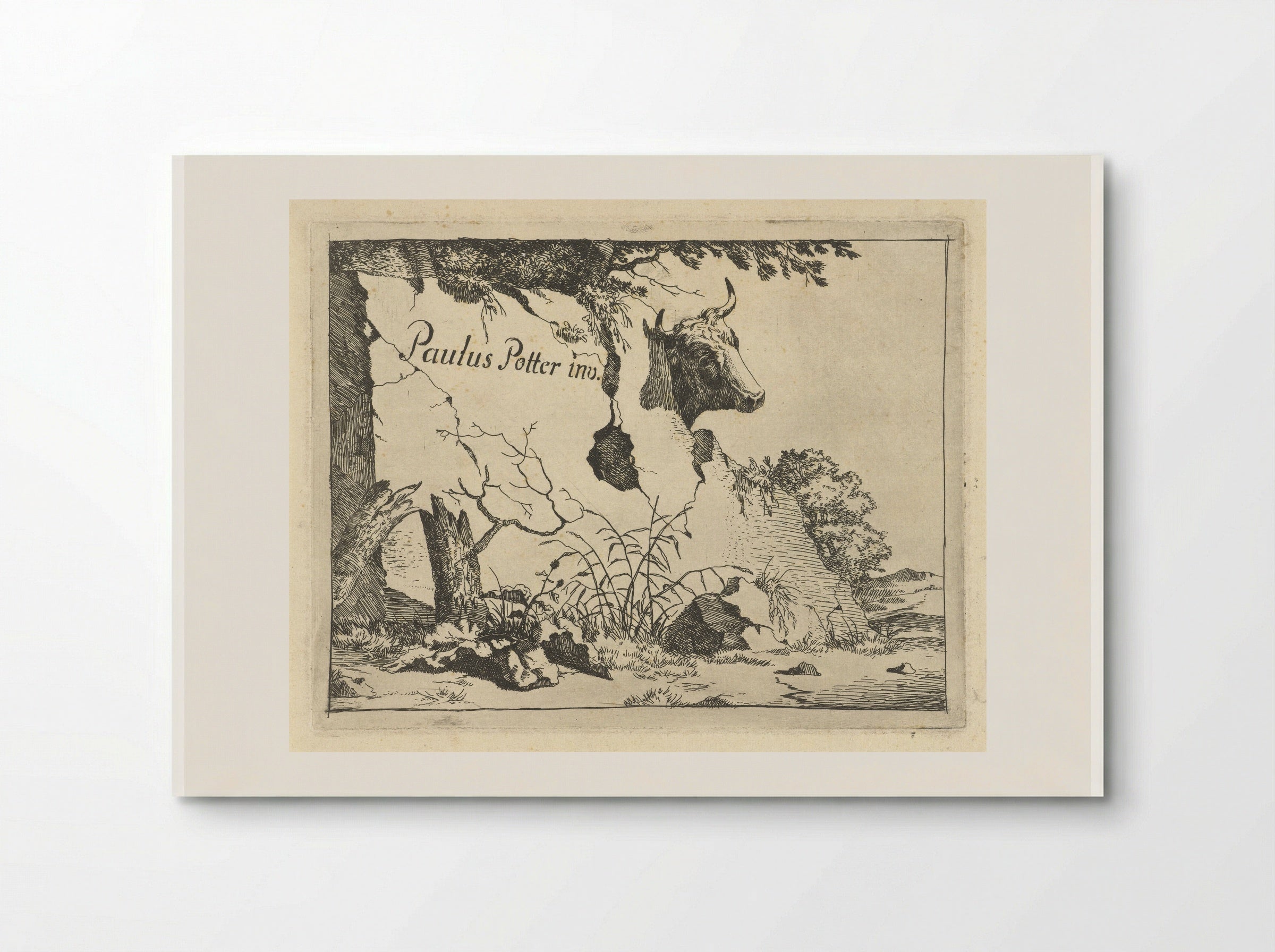 Kop van rund achter rots - Marcus de Bye - Poster