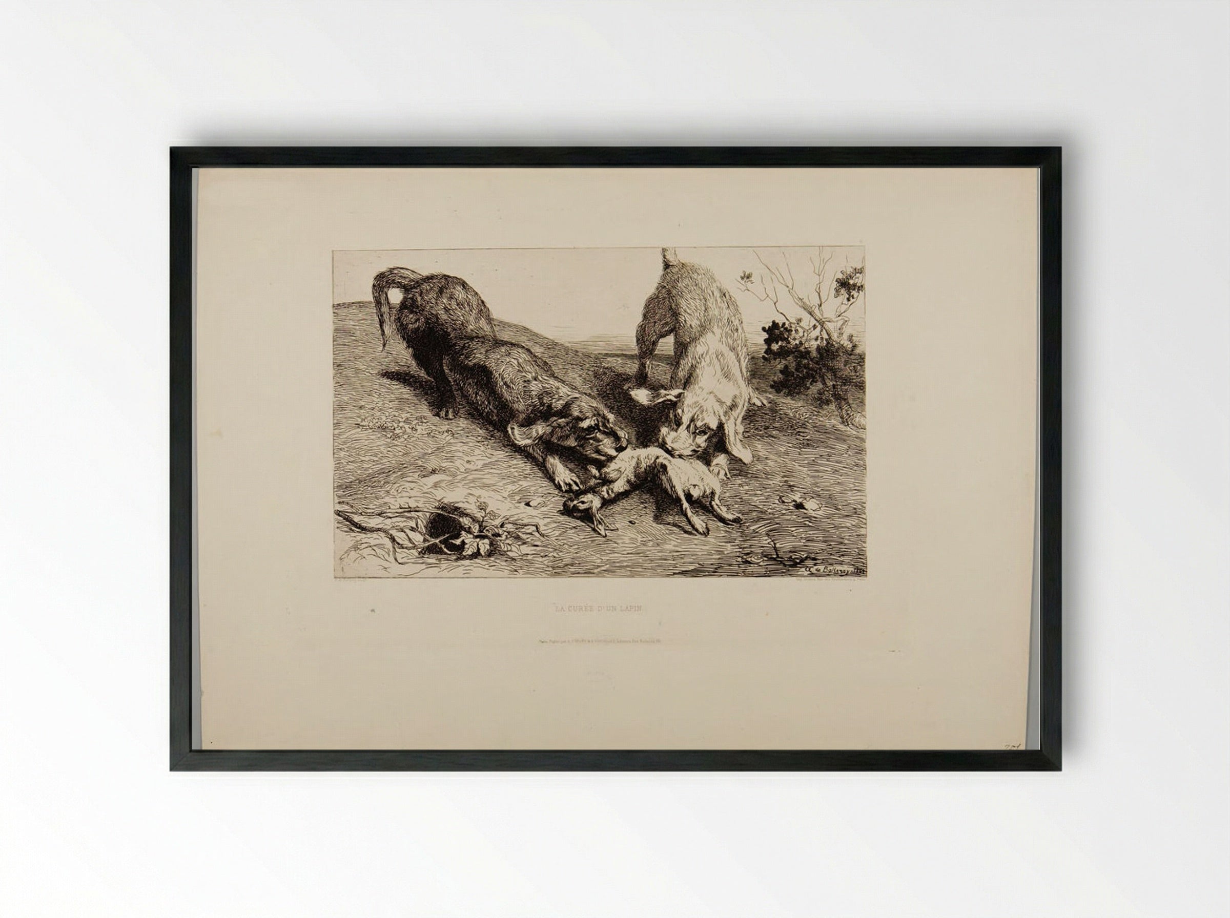 La Curée d'un Lapin - Albert de Balleroy - Framed Print Black