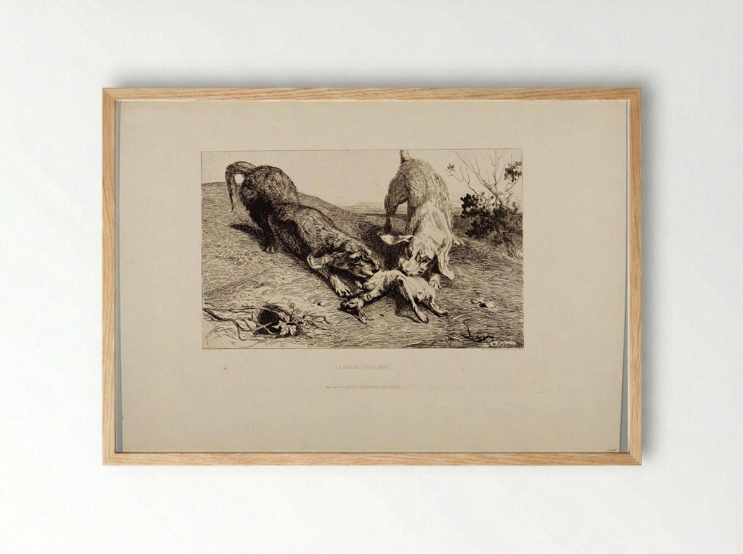 La Curée d'un Lapin - Albert de Balleroy - Framed Print Wood