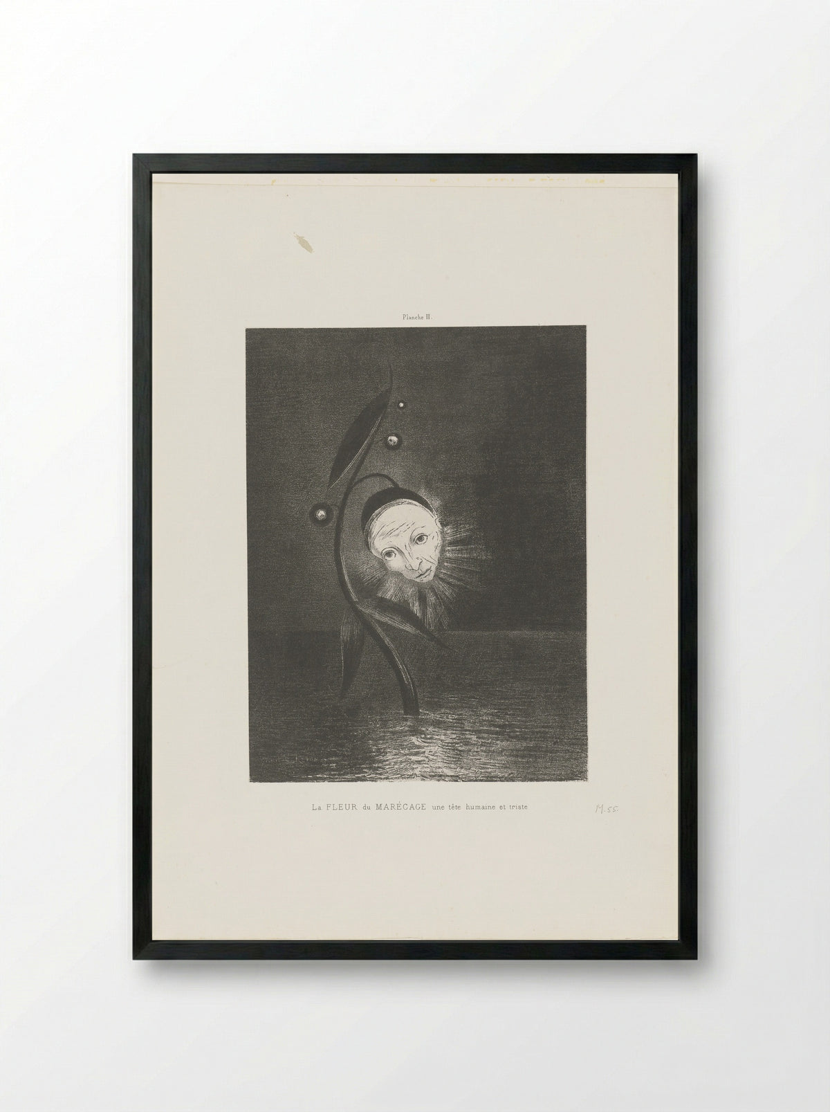 La Fleur du Marécage, une tête humaine et triste - Odilon Redon - Framed Print Black
